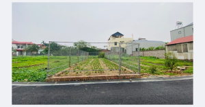 Bán đất tại Đình Trung, Xuân Nộn, Đông Anh, Hà Nội, giá cực hời, diện tích 65.2 m2